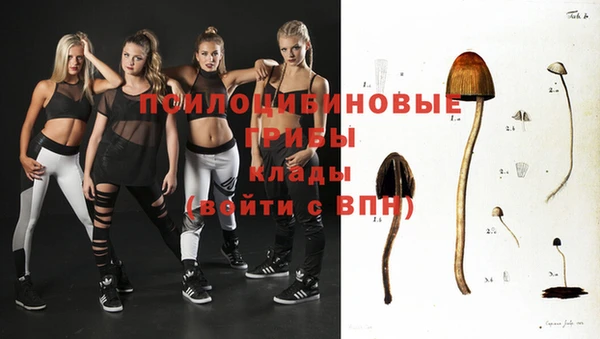 соль курить ск Аркадак