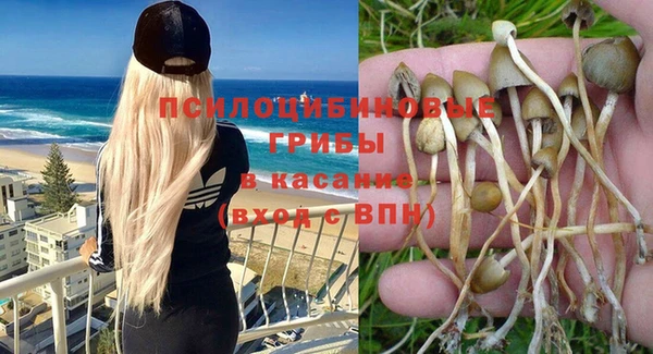 соль курить ск Аркадак