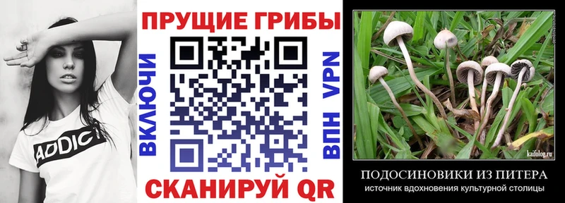 Галлюциногенные грибы мицелий  купить наркоту  это официальный сайт  Фатеж 